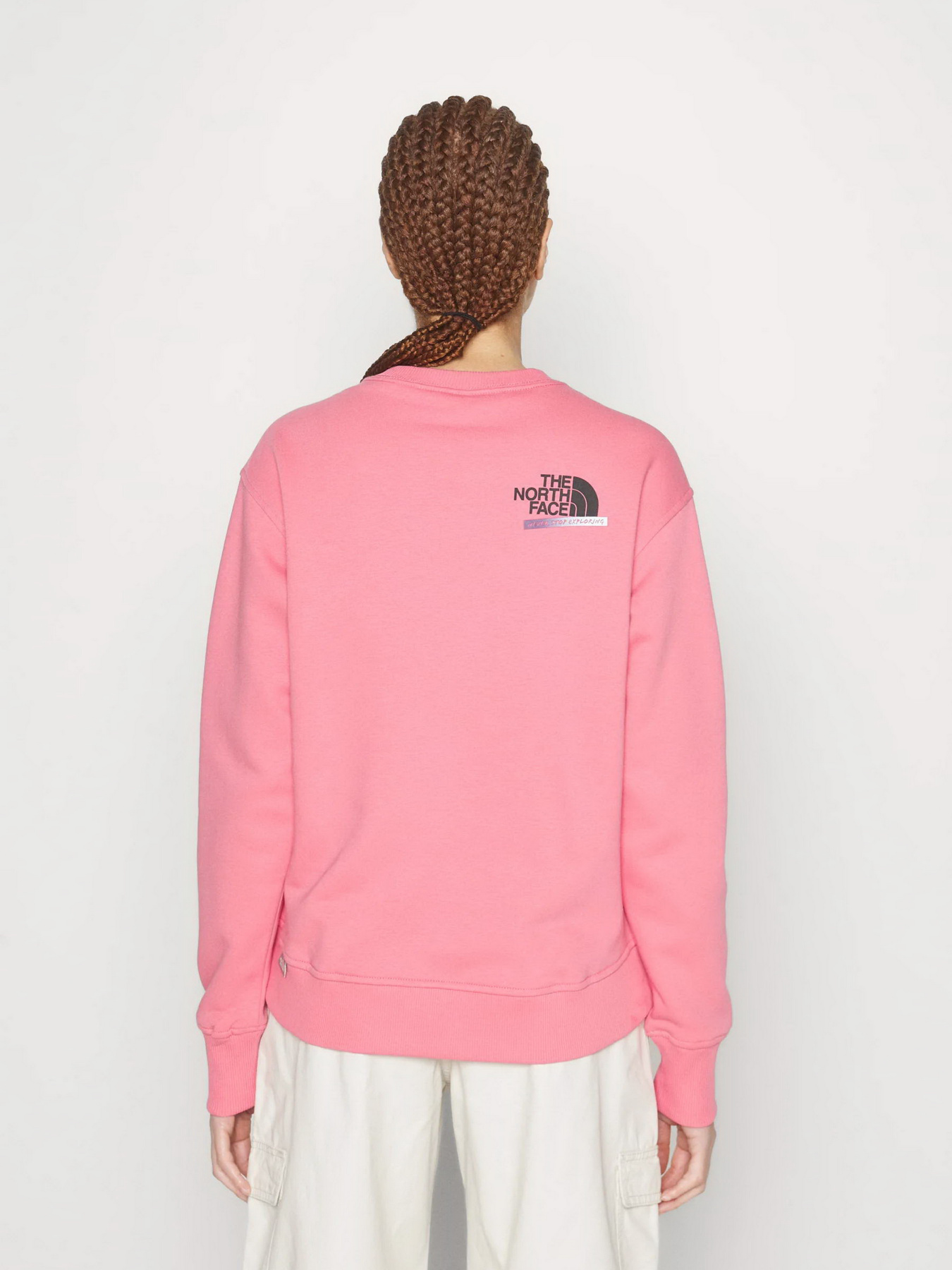 Свитшот The North Face Graphic модель NF0A83FIN0T1 Фото