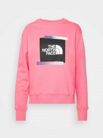 Свитшот The North Face Graphic модель NF0A83FIN0T1 Фото