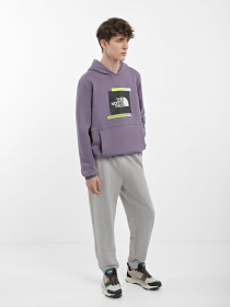 Худі The North Face Graphic модель NF0A83FKN141 Фото