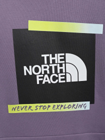Худі The North Face Graphic модель NF0A83FKN141 Фото