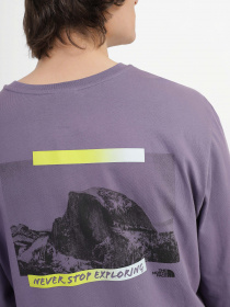 Лонгслів The North Face Graphic модель NF0A83FLN141 Фото