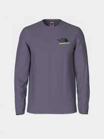 Лонгслів The North Face Graphic модель NF0A83FLN141 Фото