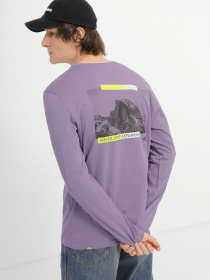 Лонгслів The North Face Graphic модель NF0A83FLN141 Фото