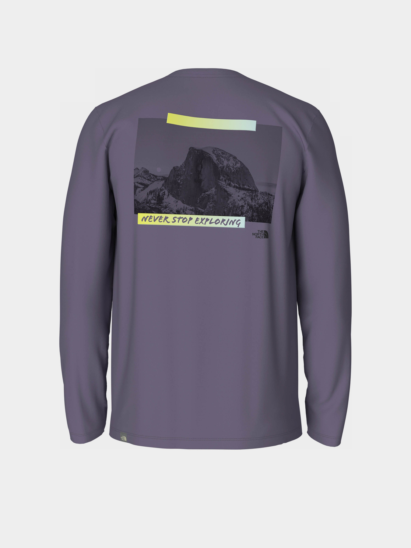 Лонгслів The North Face Graphic модель NF0A83FLN141 Фото