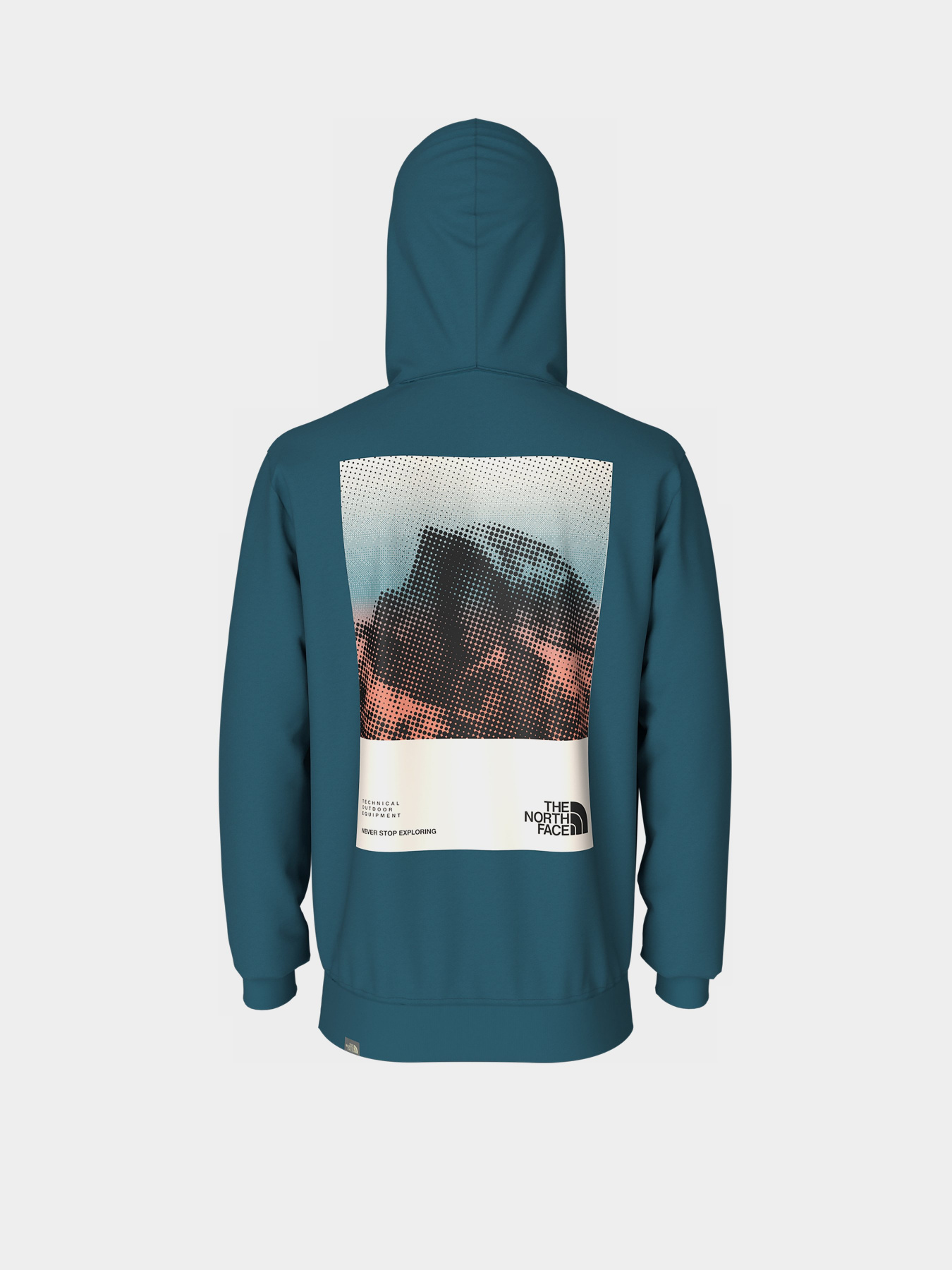 Худі The North Face модель NF0A83FOEFS1 Фото