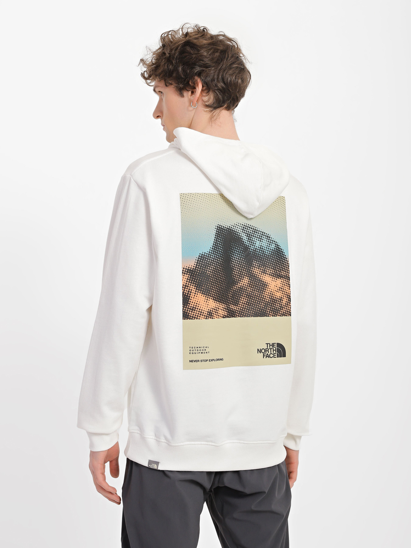 Худи The North Face Graphic модель NF0A83FON3N1 Фото