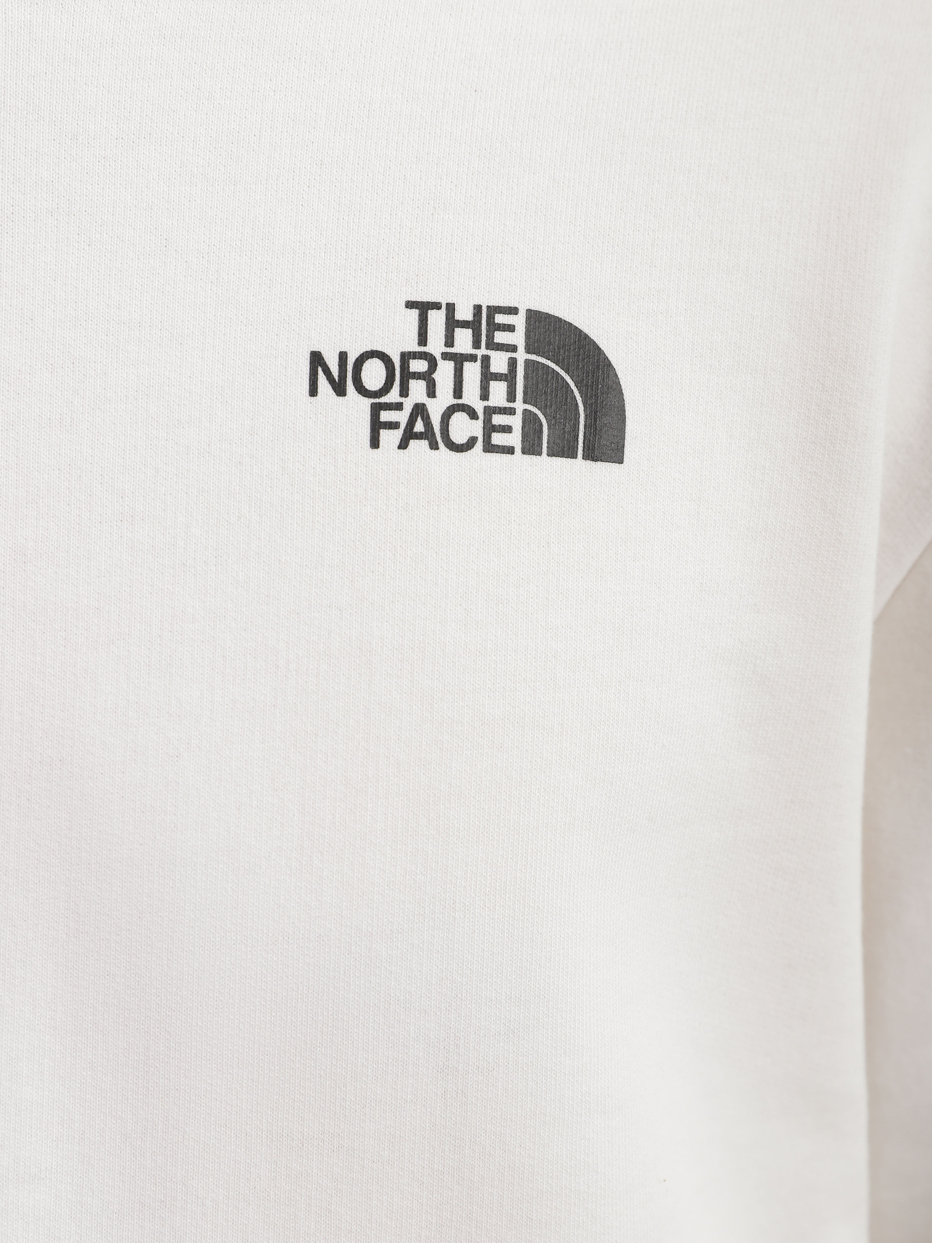 Худи The North Face Graphic модель NF0A83FON3N1 Фото