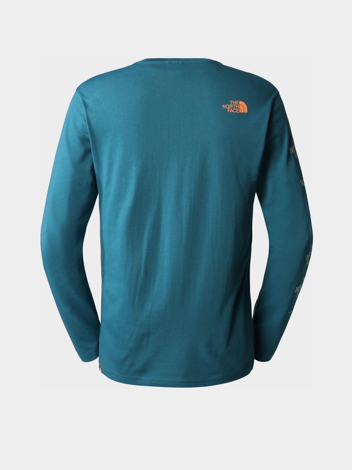 Лонгслів The North Face модель NF0A83FPEFS1 Фото