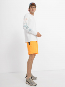 Лонгслів The North Face Graphic модель NF0A83FPN3N1 Фото