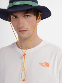 Футболка The North Face Graphic модель NF0A83FQN3N1 Фото