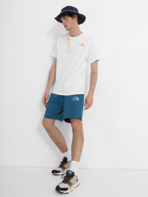 Шорти спортивні The North Face Graphic модель NF0A83FREFS1 Фото