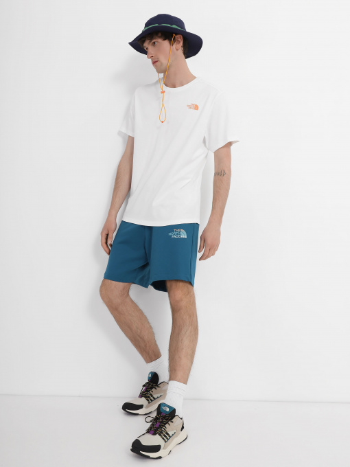 Шорти спортивні The North Face Graphic модель NF0A83FREFS1 Фото