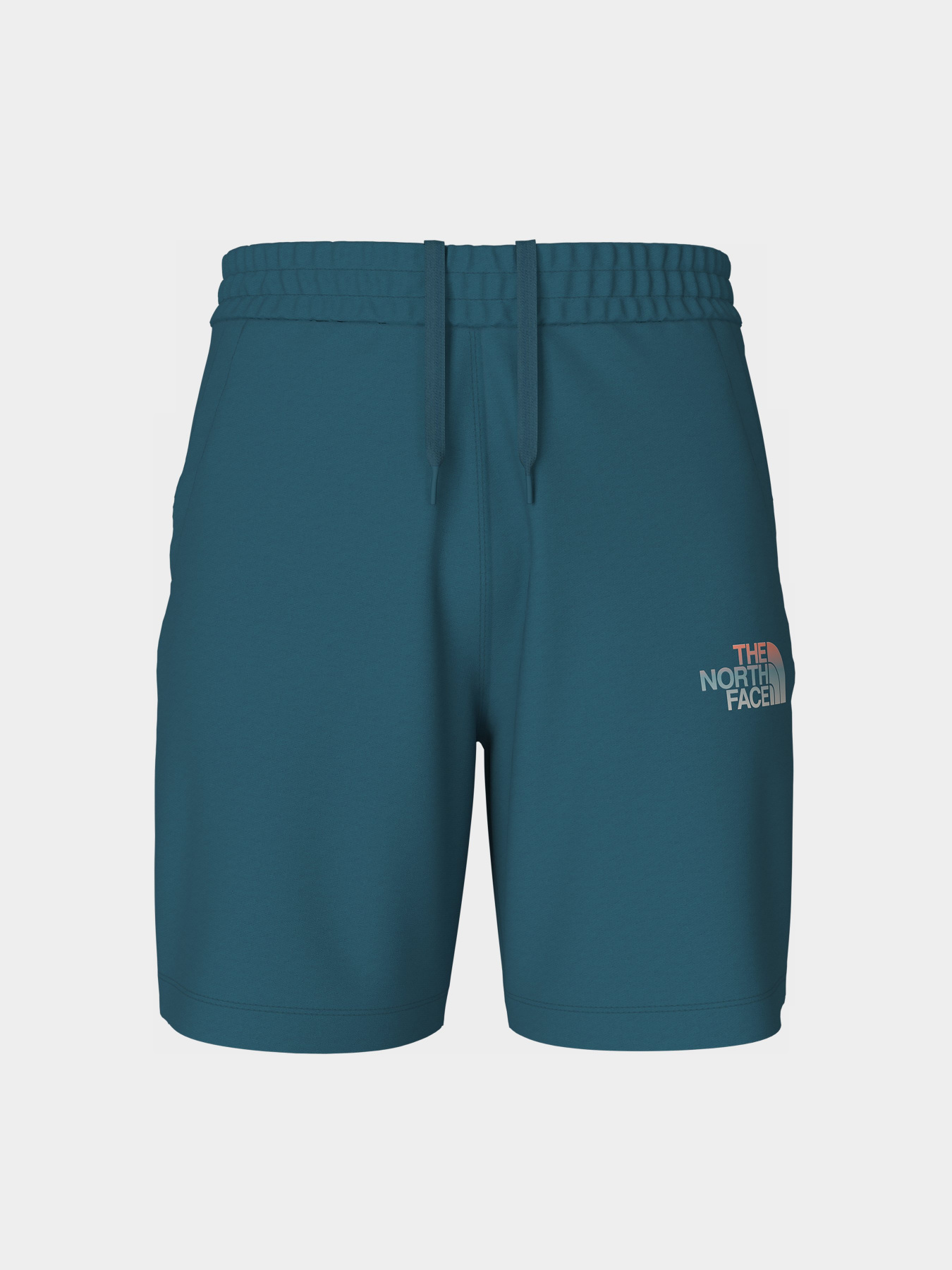 Спортивні шорти The North Face Graphic модель NF0A83FREFS1 Фото