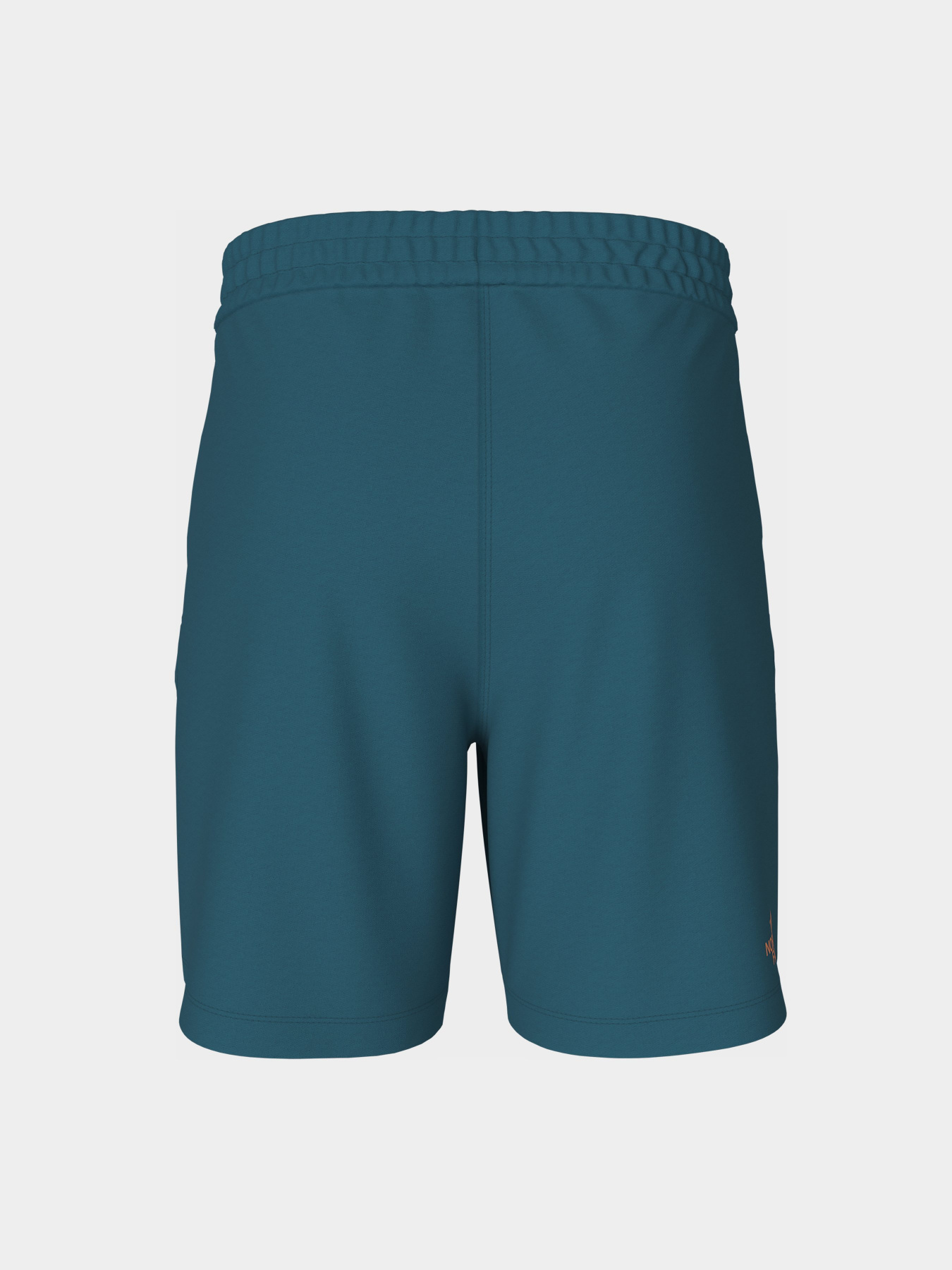 Спортивні шорти The North Face Graphic модель NF0A83FREFS1 Фото