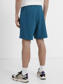 Спортивні шорти The North Face Graphic модель NF0A83FREFS1 Фото