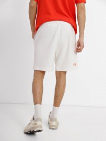 Спортивні шорти The North Face Graphic модель NF0A83FRN3N1 Фото