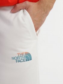Спортивні шорти The North Face Graphic модель NF0A83FRN3N1 Фото