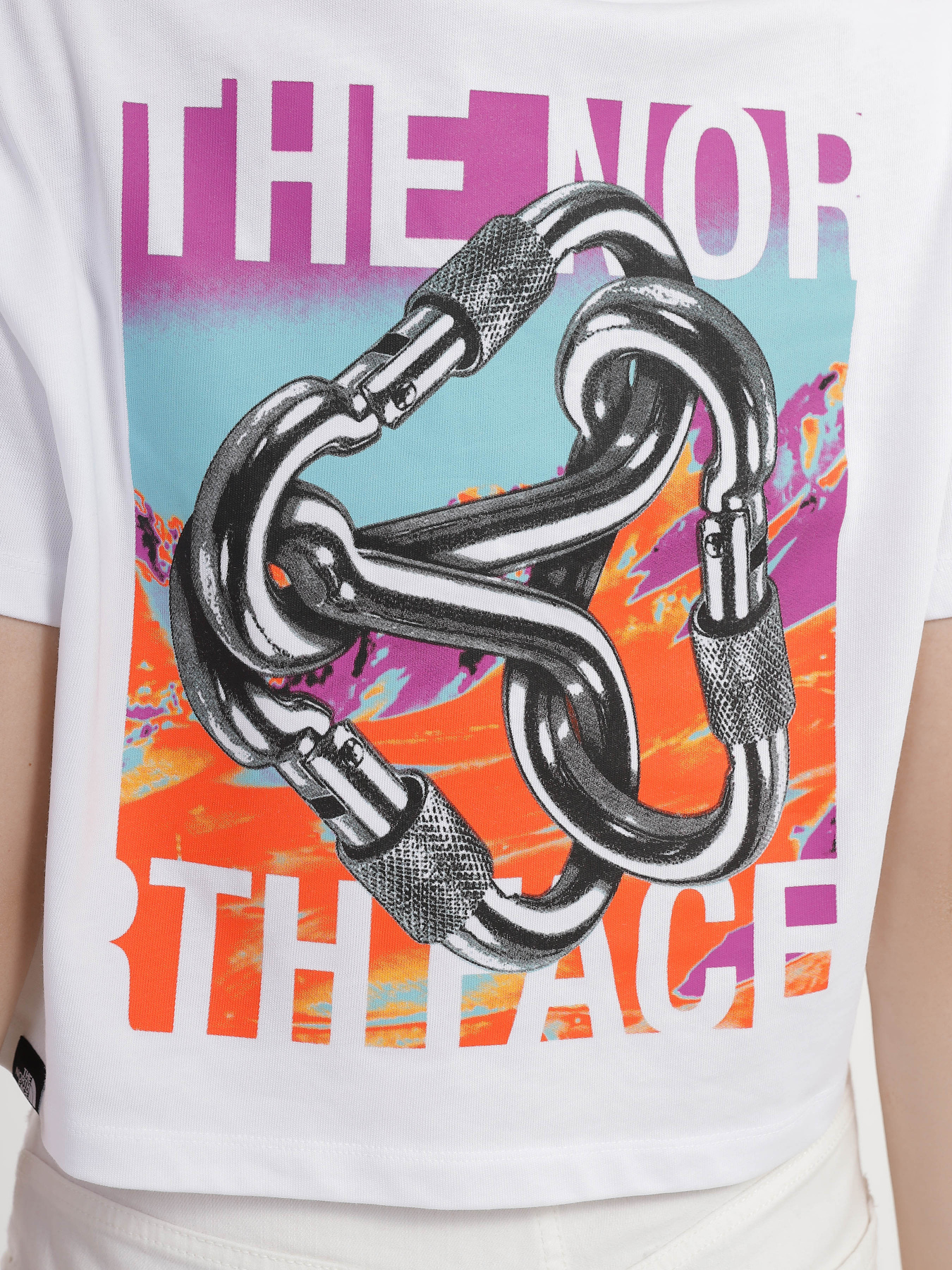 Футболка The North Face Graphic модель NF0A83HPFN41 Фото