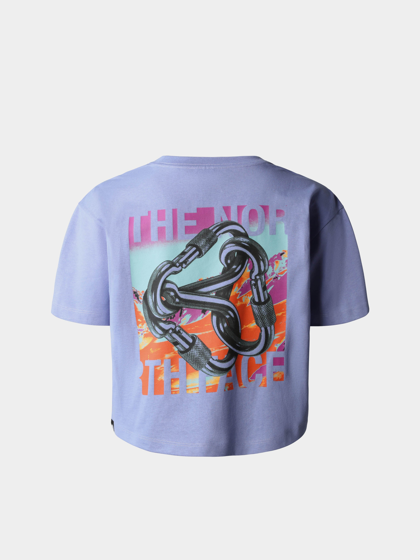 Футболка The North Face Graphic модель NF0A83HPN121 Фото