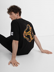 Футболка The North Face Graphic модель NF0A83HQJK31 Фото
