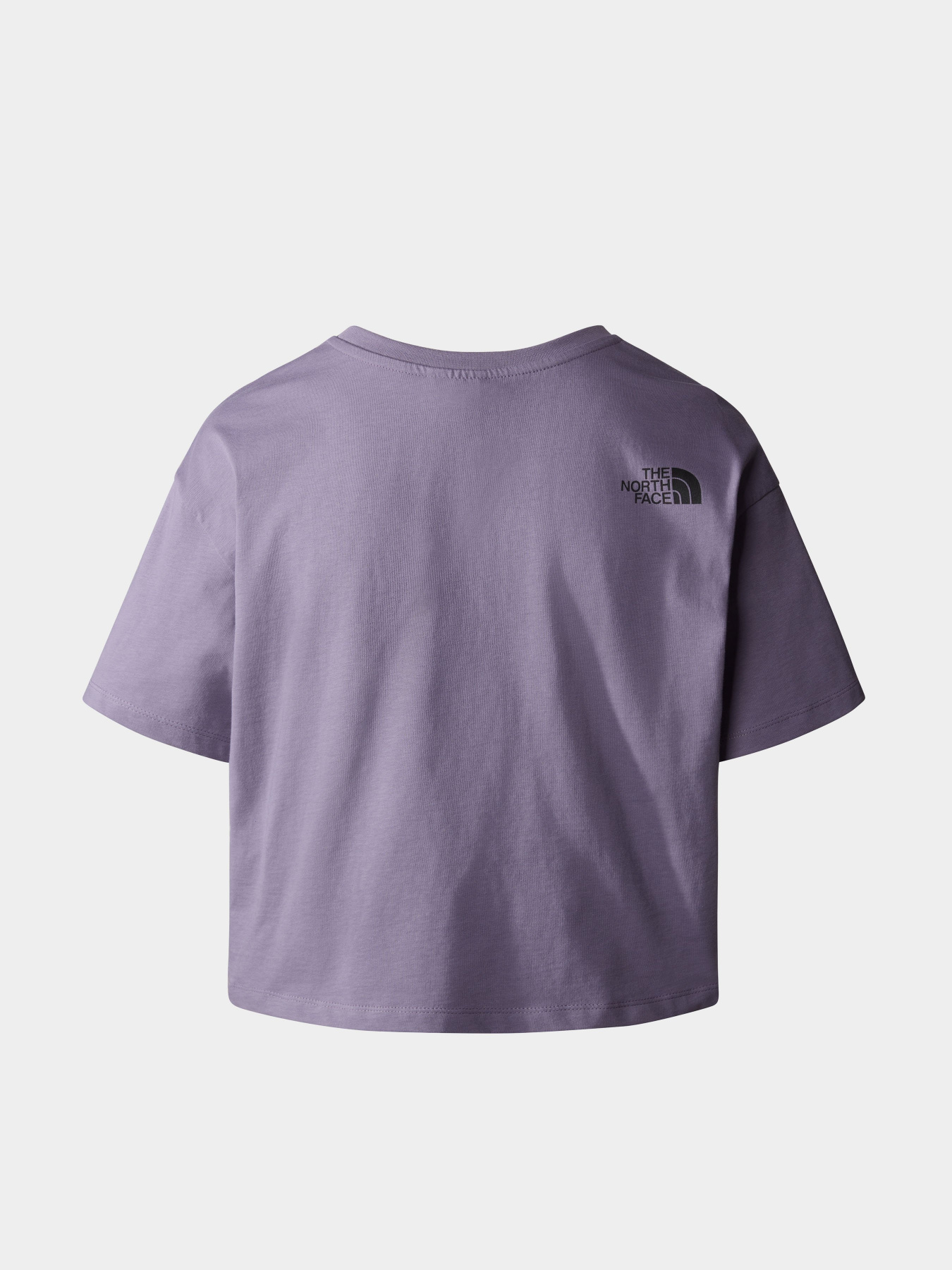 Футболка The North Face Cropped Simple Dome модель NF0A4SYCN141 Фото