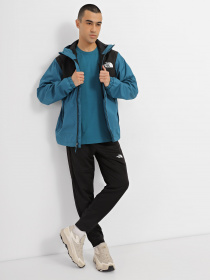 Демісезонна куртка The North Face Mountain модель NF0A5IG2EFS1 Фото