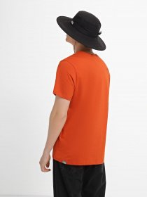 Футболка The North Face Mountein Line модель NF0A7X1NIWR1 Фото