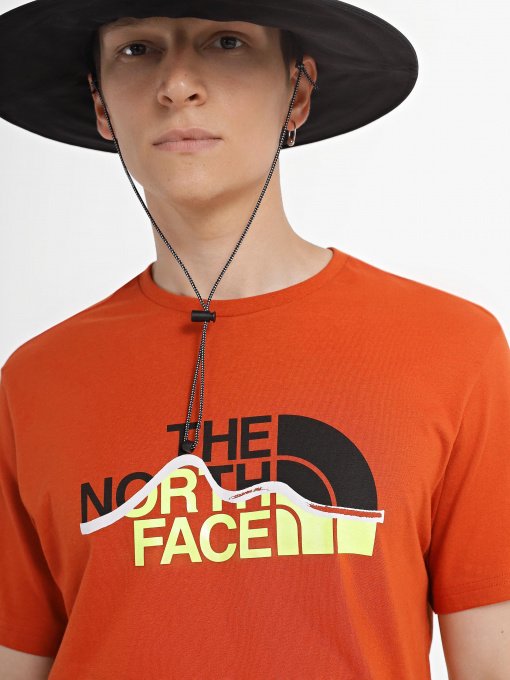 Футболка The North Face Mountein Line модель NF0A7X1NIWR1 Фото
