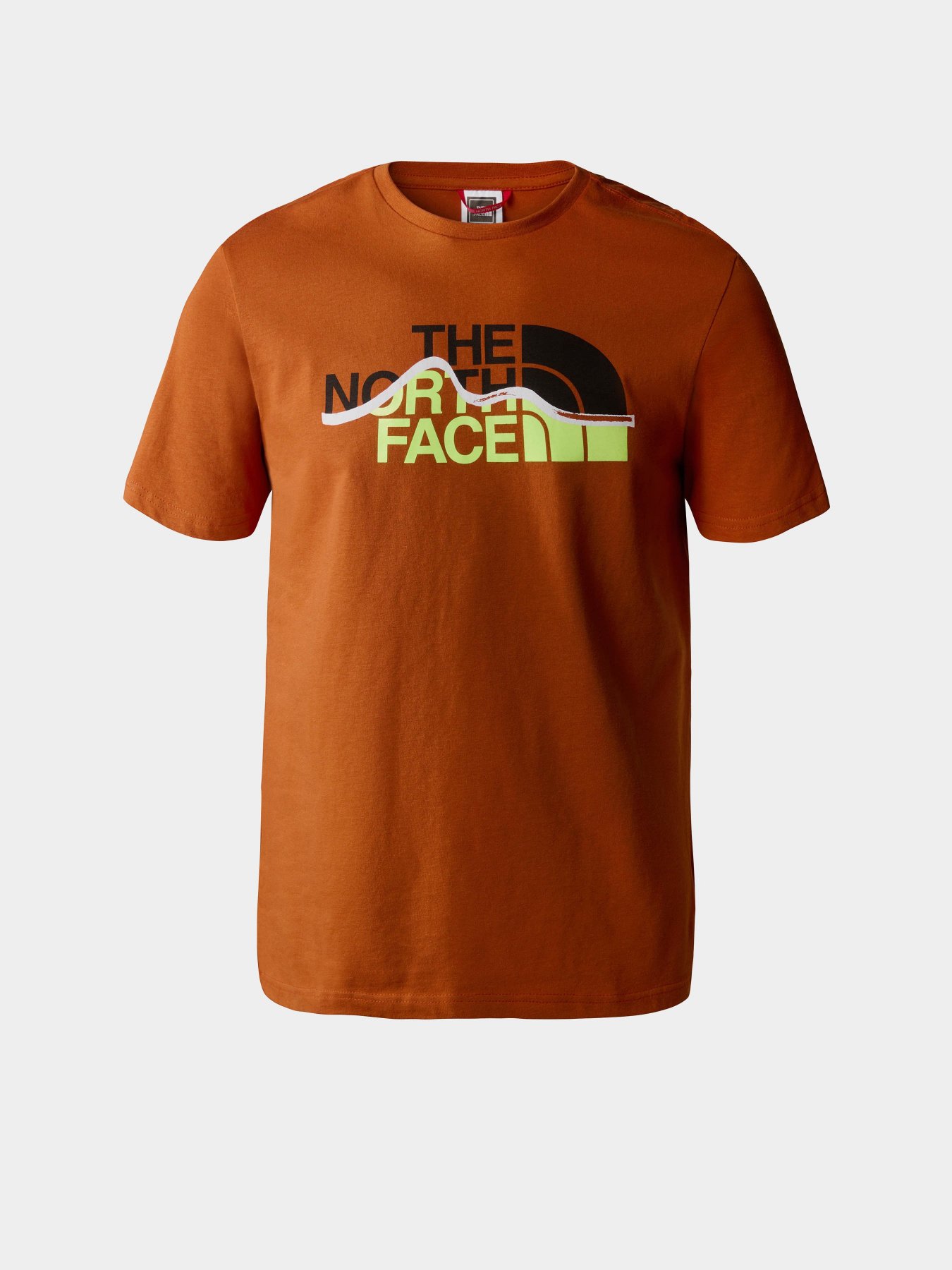 Футболка The North Face Mountein Line модель NF0A7X1NIWR1 Фото