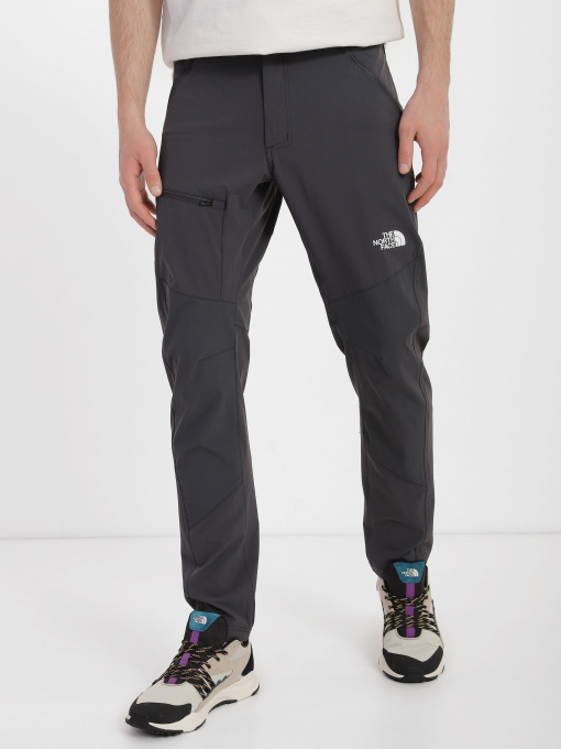 Штаны спортивные The North Face Speedlight Slim Tapered модель NF0A7X6E0C51 Фото