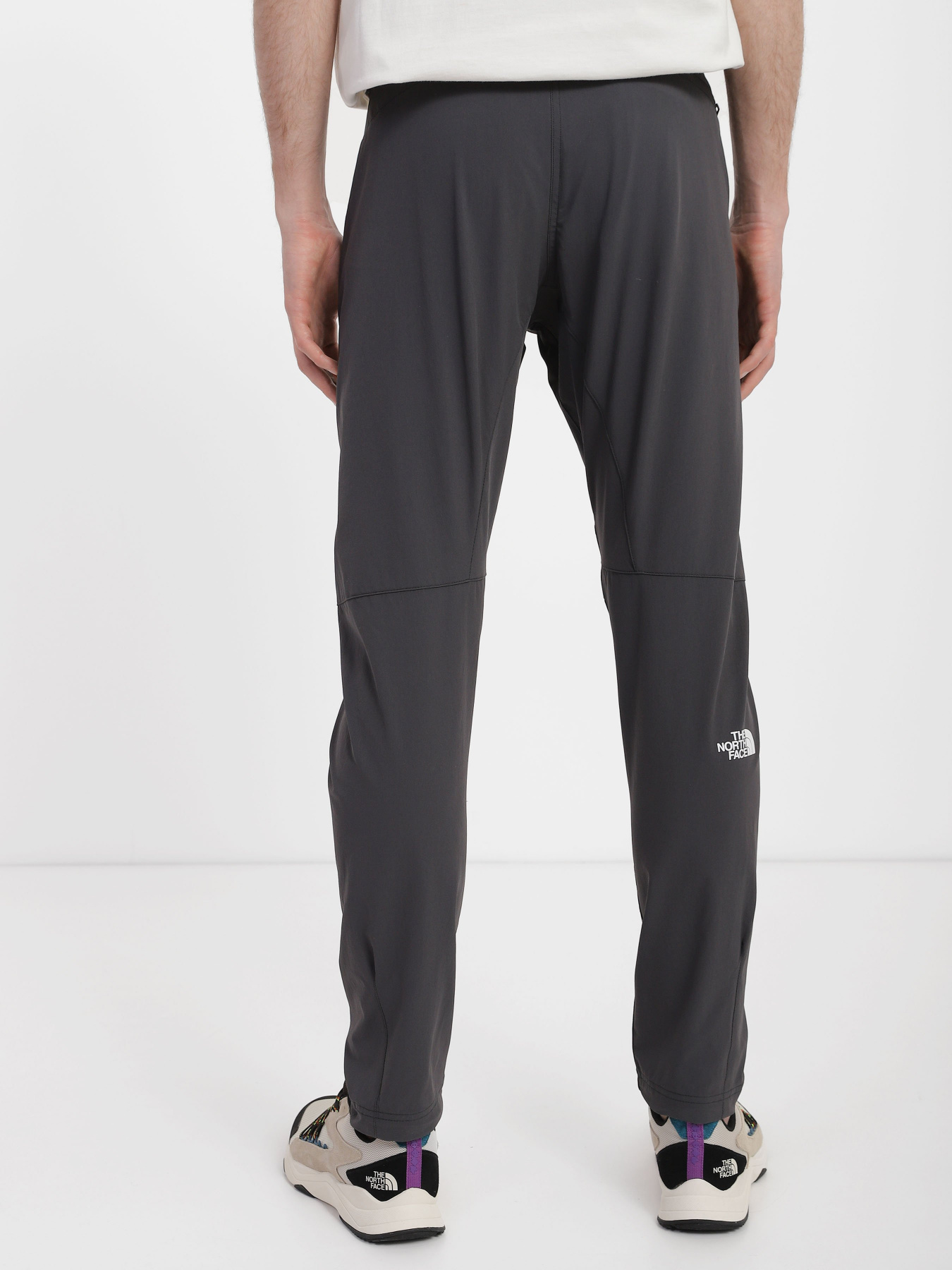 Спортивні штани The North Face Speedlight Slim Tapered модель NF0A7X6E0C51 Фото