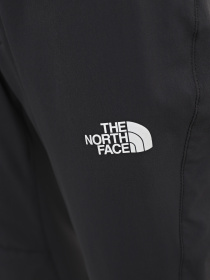 Штани повсякденні The North Face Speedlight Модель NF0A7Z8A0C51 Фото