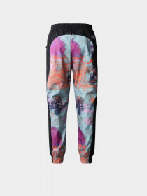 Штаны спортивные The North Face Printed Dynaka Summer модель NF0A84Z1ITV1 Фото