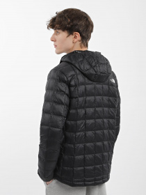 Зимняя куртка The North Face Thermoball Eco модель NF0A5GLKJK31 Фото