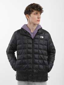 Зимняя куртка The North Face Thermoball Eco модель NF0A5GLLJK31 Фото