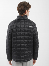 Зимняя куртка The North Face Thermoball Eco модель NF0A5GLLJK31 Фото