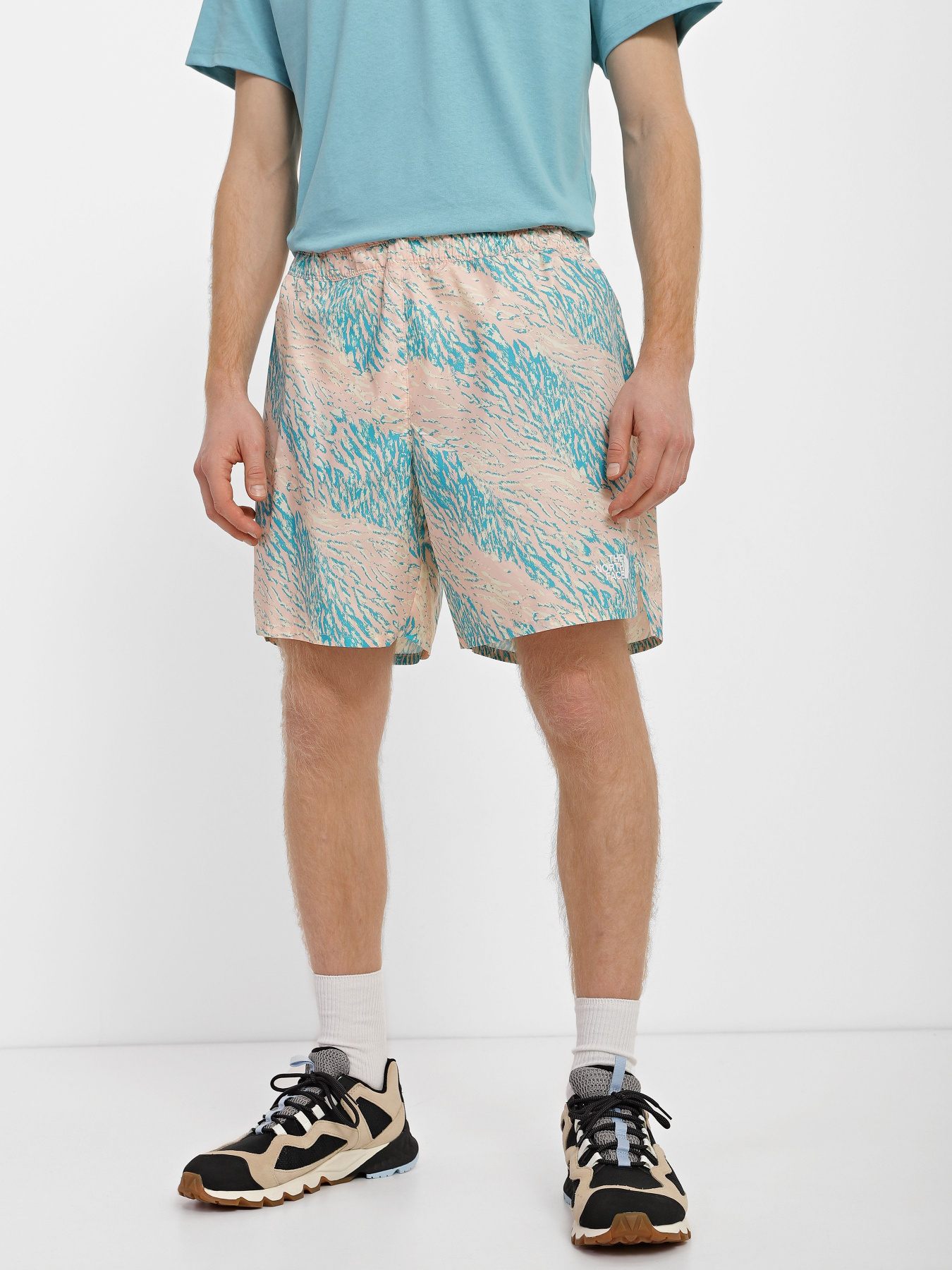 Шорты спортивные The North Face Limitless Run модель NF0A7ZU4IR11 Фото