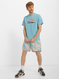 Шорты спортивные The North Face Limitless Run модель NF0A7ZU4IR11 Фото