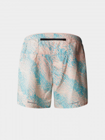 Шорты спортивные The North Face Limitless Run модель NF0A7ZU4IR11 Фото