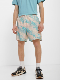 Спортивні шорти The North Face Limitless Run модель NF0A7ZU4IR11 Фото