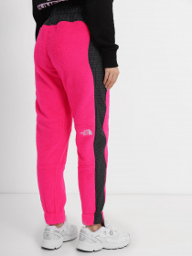 Штани спортивні The North Face Convin Модель NF0A8241N161 Фото