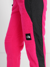 Штани спортивні The North Face Convin Модель NF0A8241N161 Фото