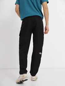 Штаны спортивные The North Face Horizon модель NF0A824CJK31 Фото