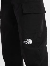 Штаны спортивные The North Face Horizon модель NF0A824CJK31 Фото