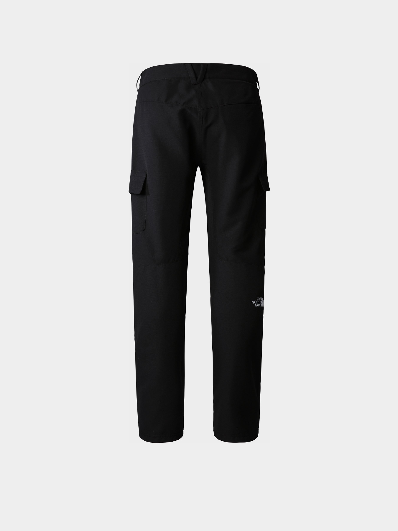 Штаны спортивные The North Face Horizon модель NF0A824CJK31 Штаны спортивные The North Face Horizon модель NF0A824CJK31 Фото