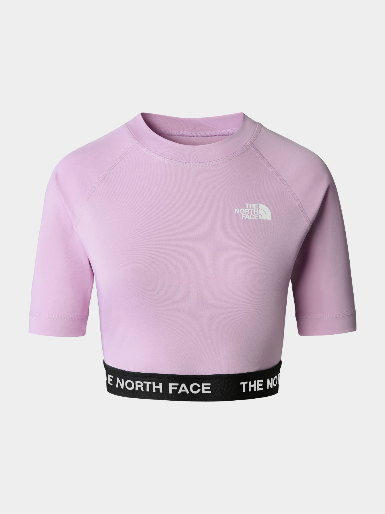 Топ The North Face Performance модель NF0A824FHCP1 Фото