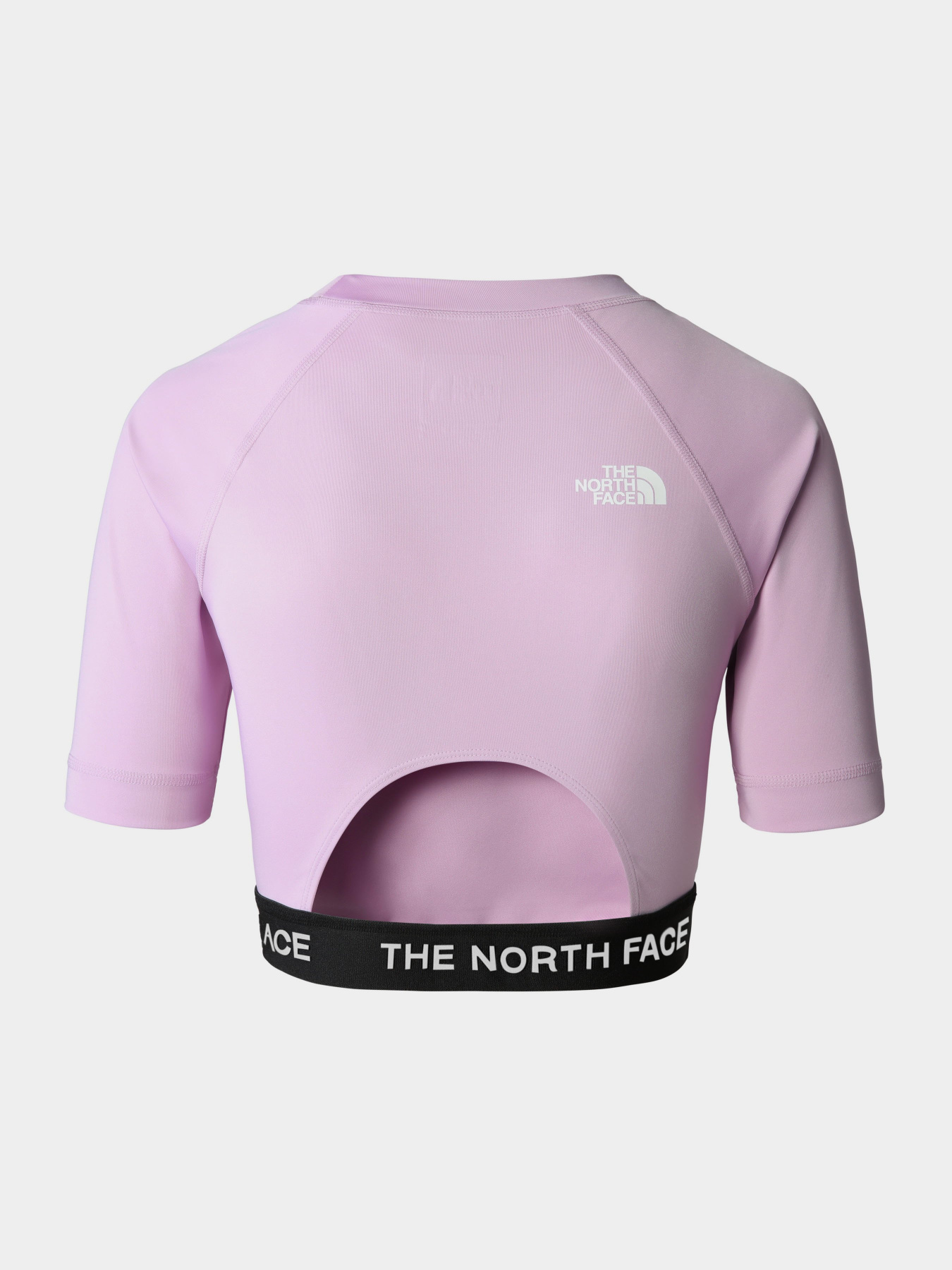 Топ The North Face Performance модель NF0A824FHCP1 Фото