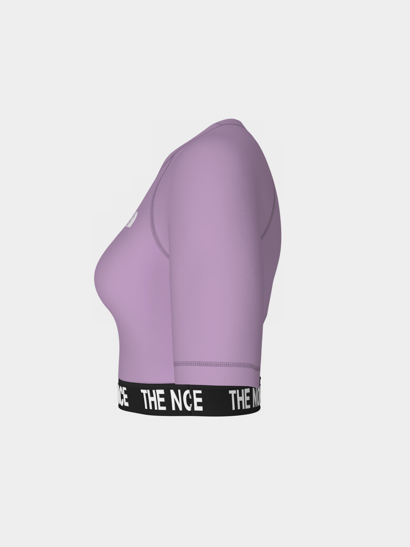 Топ The North Face Performance модель NF0A824FHCP1 Фото