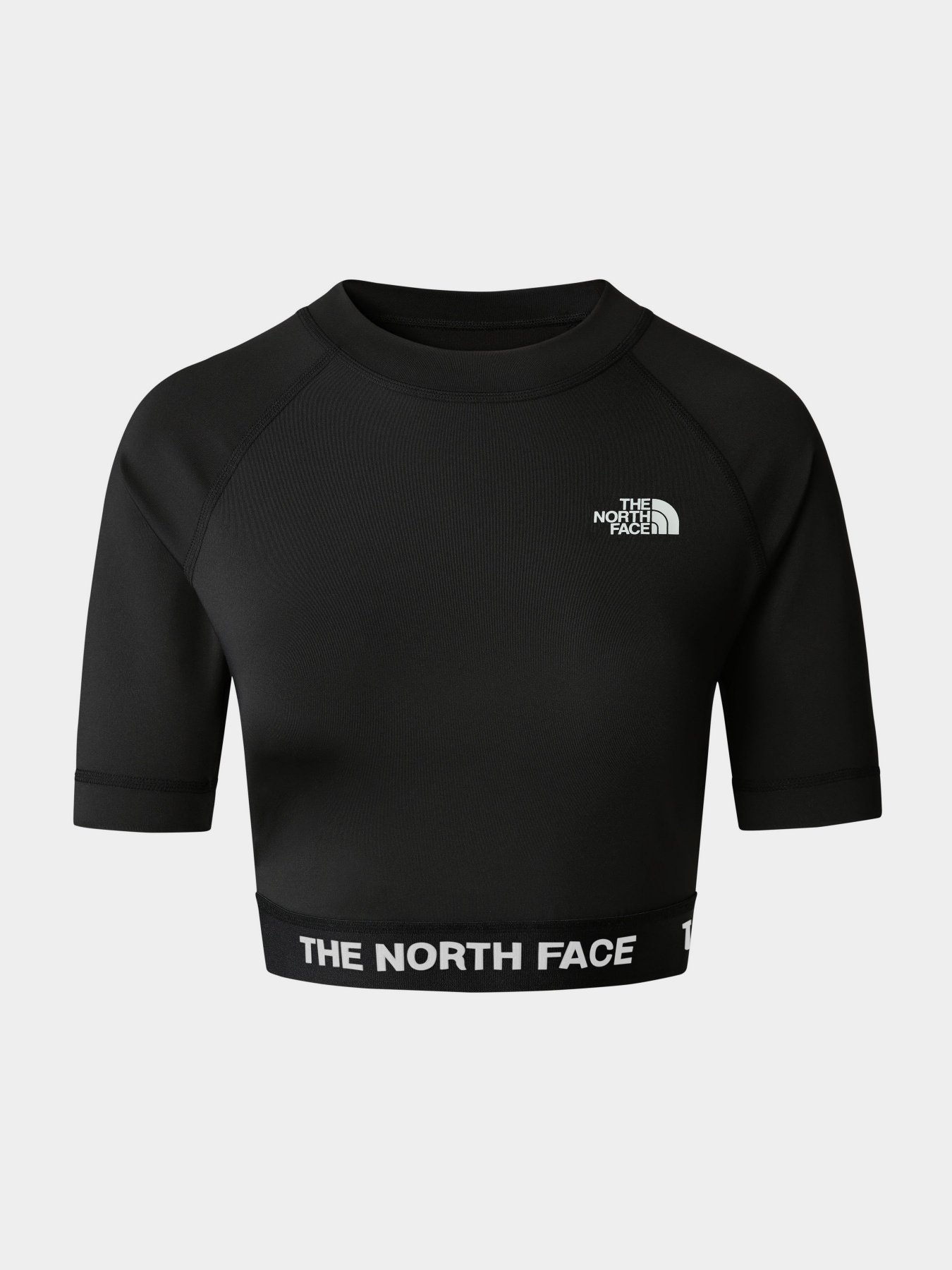 Топ The North Face Performance модель NF0A824FJK31 Фото
