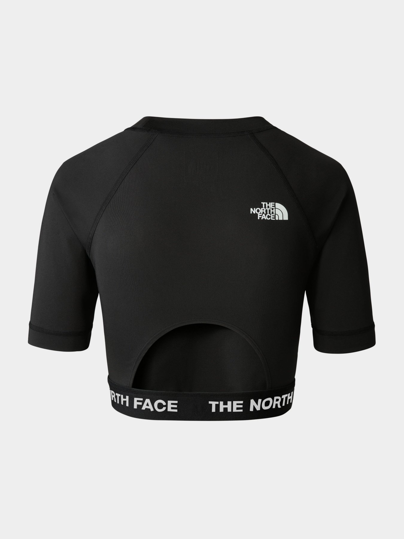 Топ The North Face Performance модель NF0A824FJK31 Фото